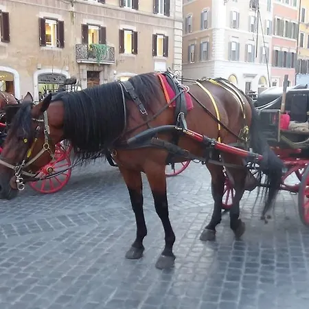 Bed & Breakfast Adduci's House Roma