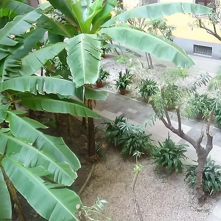 Frühstückspension Adduci's House