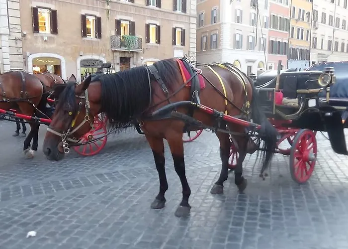 Bed & Breakfast Adduci's House Řím