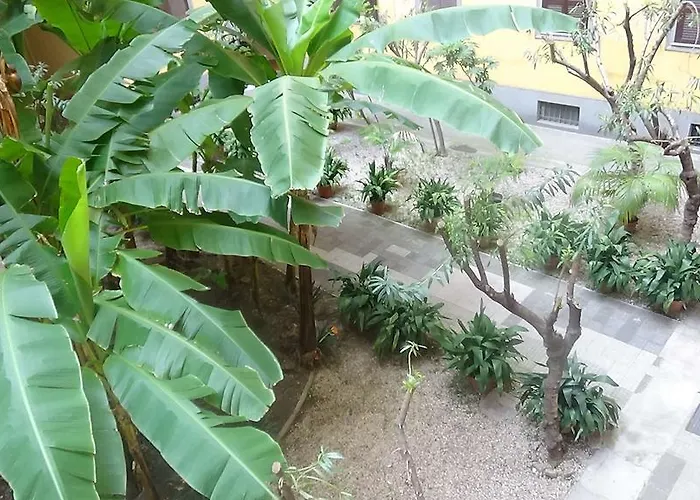 Bed & Breakfast Adduci's House